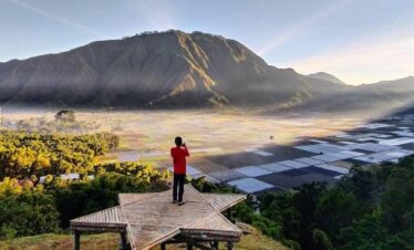 WhatsApp Image 2026-04-05 at 21.18.02