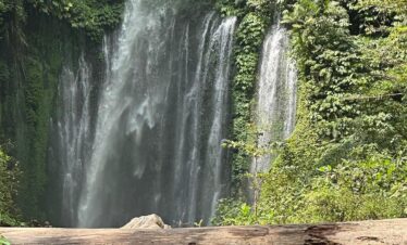 WhatsApp Image 2026-04-05 at 21.18.09